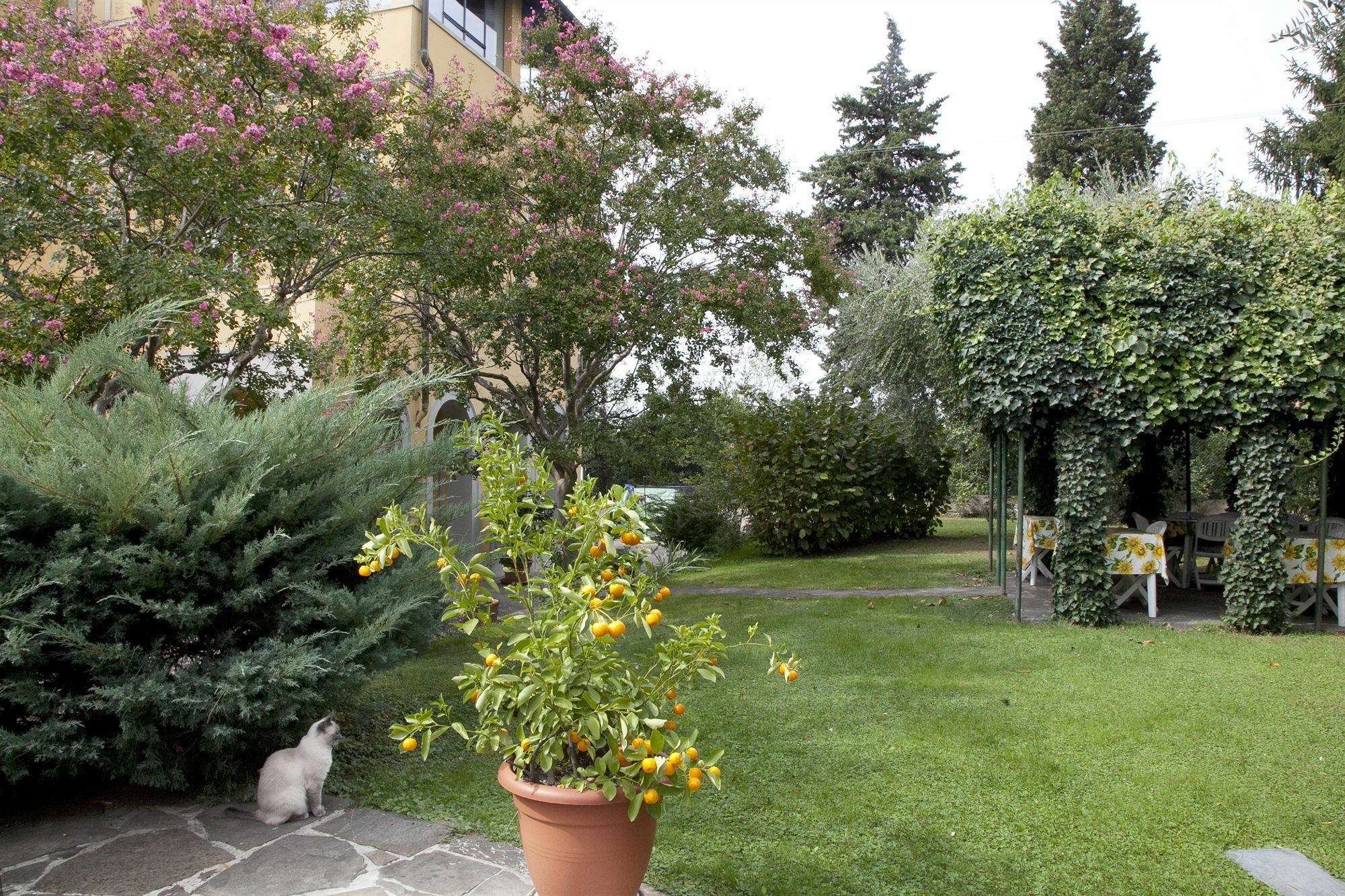 B&B Villa La Sosta Floransa Dış mekan fotoğraf
